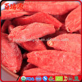 Goji berries chinese medicine where to find goji berries in the grocery store dove trovare bacche di goji